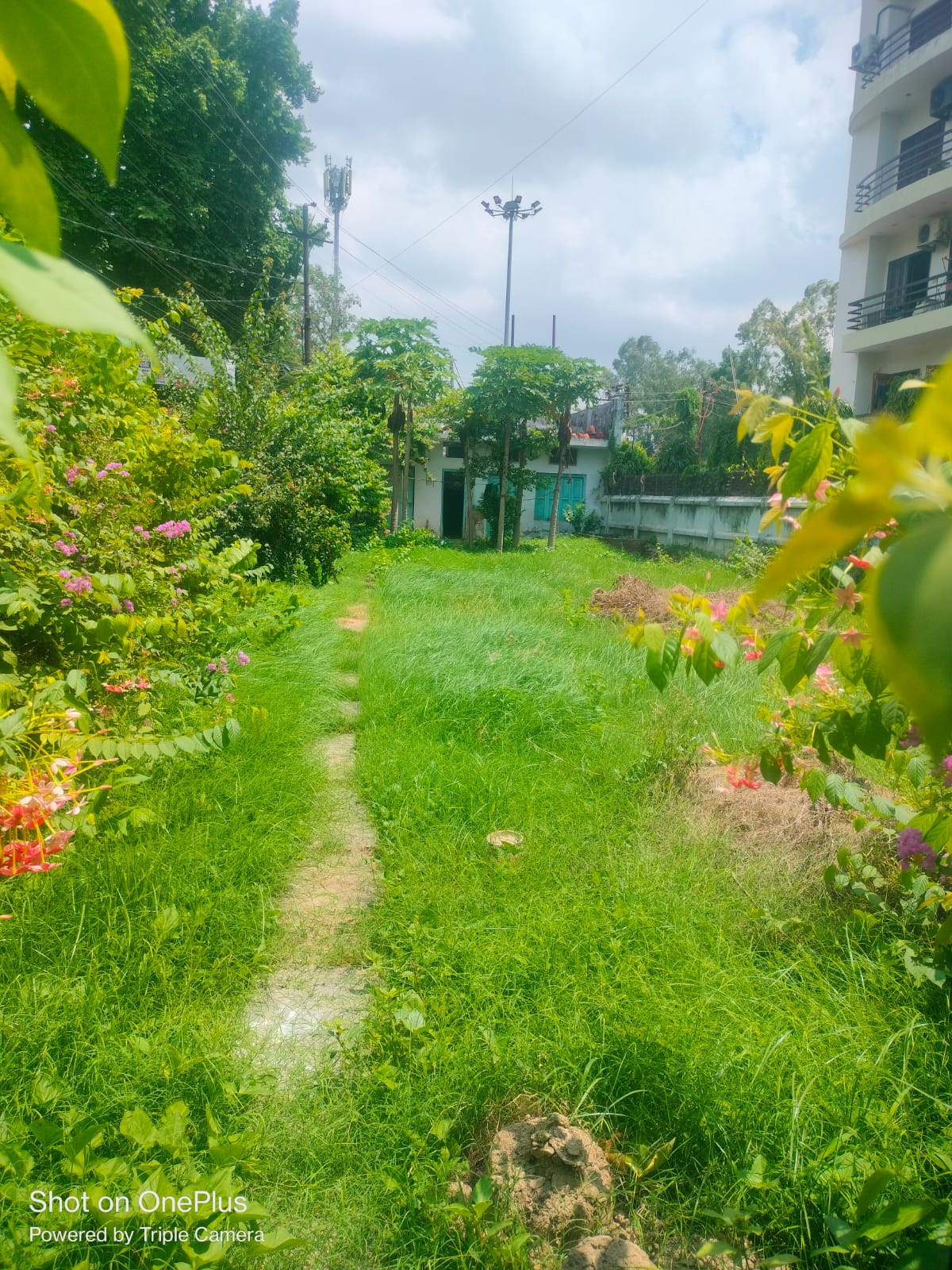 PARAS GREENS